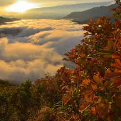 枝折峠/提供素材