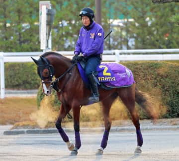 アドマイヤクワッズは弥生賞から皐月賞へ向かう