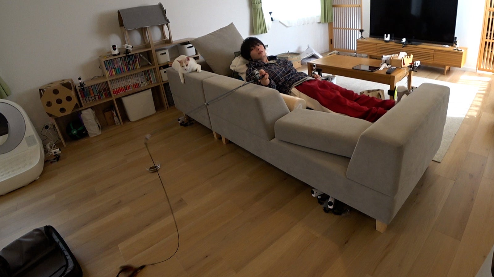 大西流星（C）日本テレビ