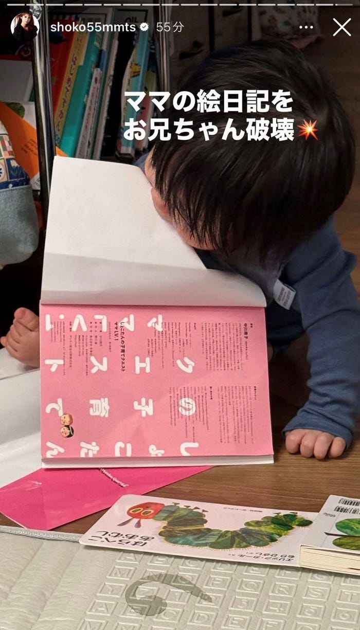 中川翔子Instagramストーリーズより