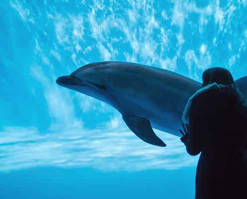 水族館デートで彼の心を掴むポイント5つ もっと私を好きになって!