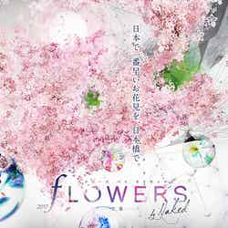 FLOWERS by NAKED 2017 —立春—/画像提供:ネイキッド