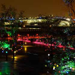 ひかりの実(作品イメージ)/画像提供:スマートイルミネーション横浜実行委員会