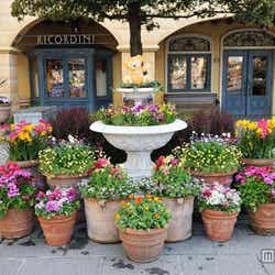 デコレーション(C)Disney