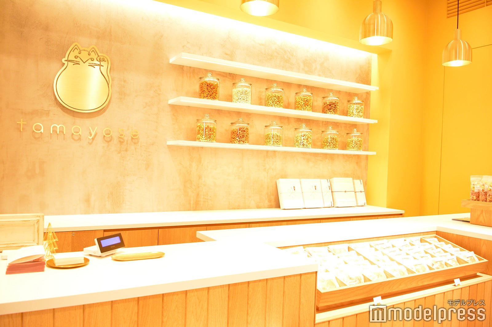 タマヨセ（C）モデルプレス