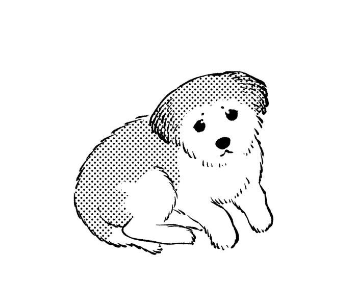 桐島由紀先生近影(C)桐島由紀/集英社