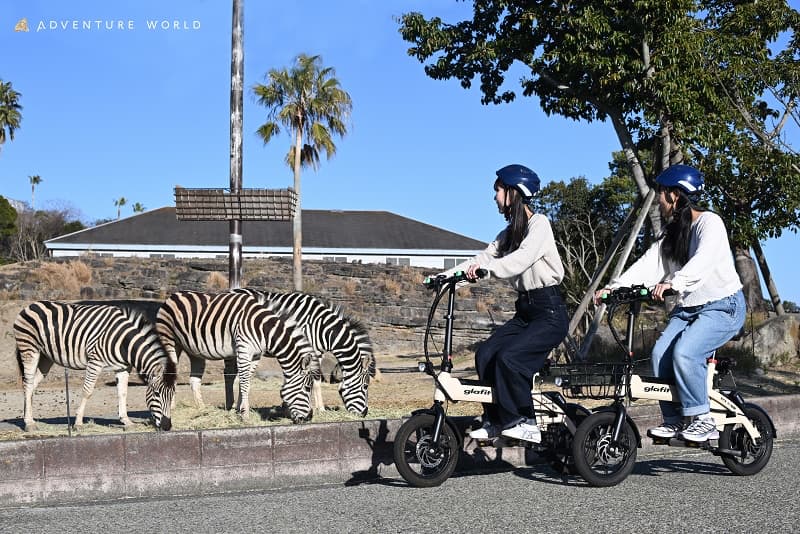 【アドベンチャーワールド】パンダがいなくても楽しい！ 五感で満喫する8つの体験が新登場！