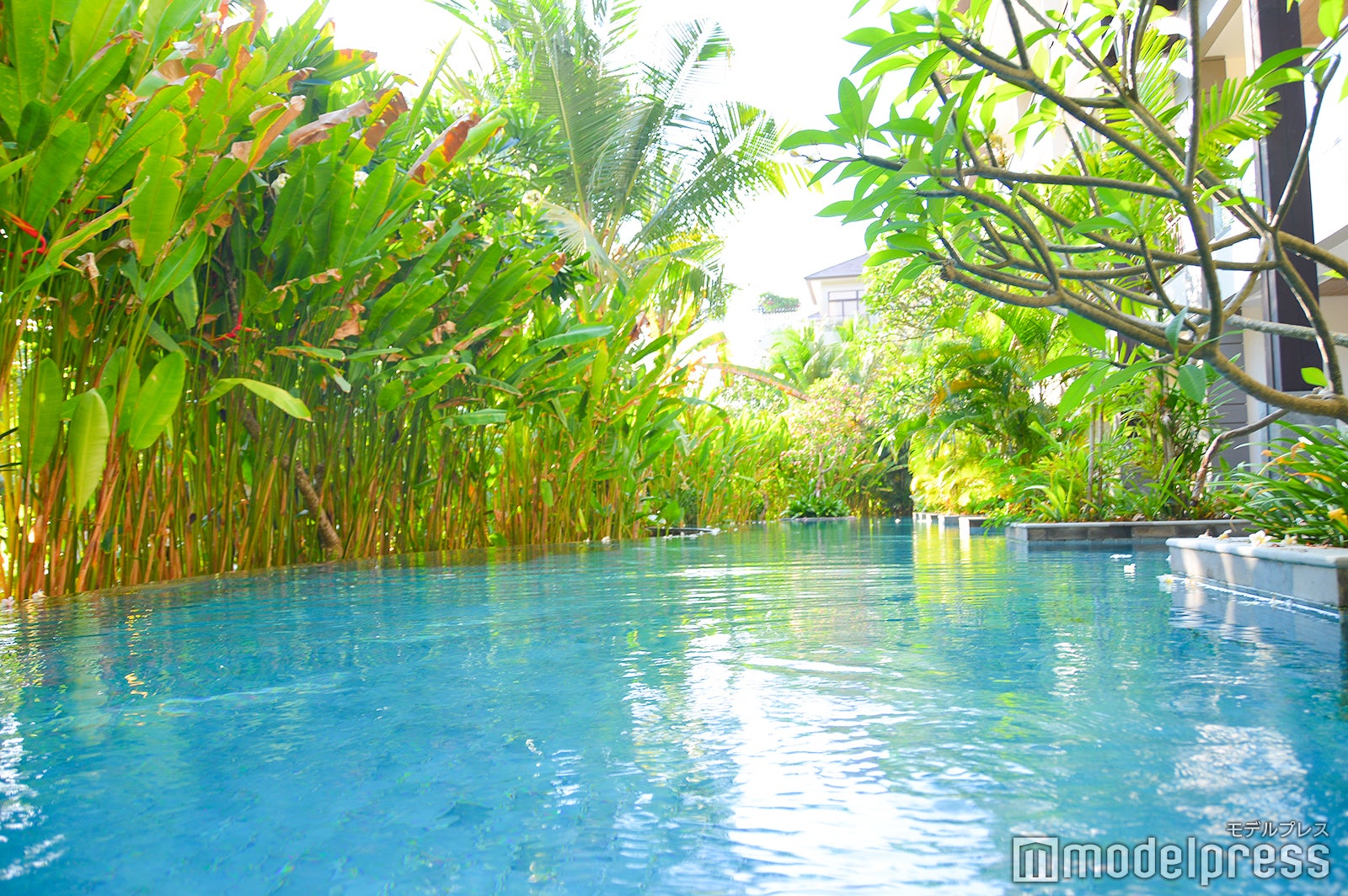 お部屋のプールでのんびり（C）モデルプレス