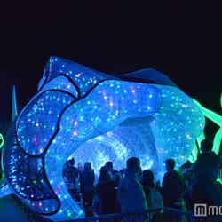 大きなサメの口の中に人が吸い込まれていく!(C)モデルプレス