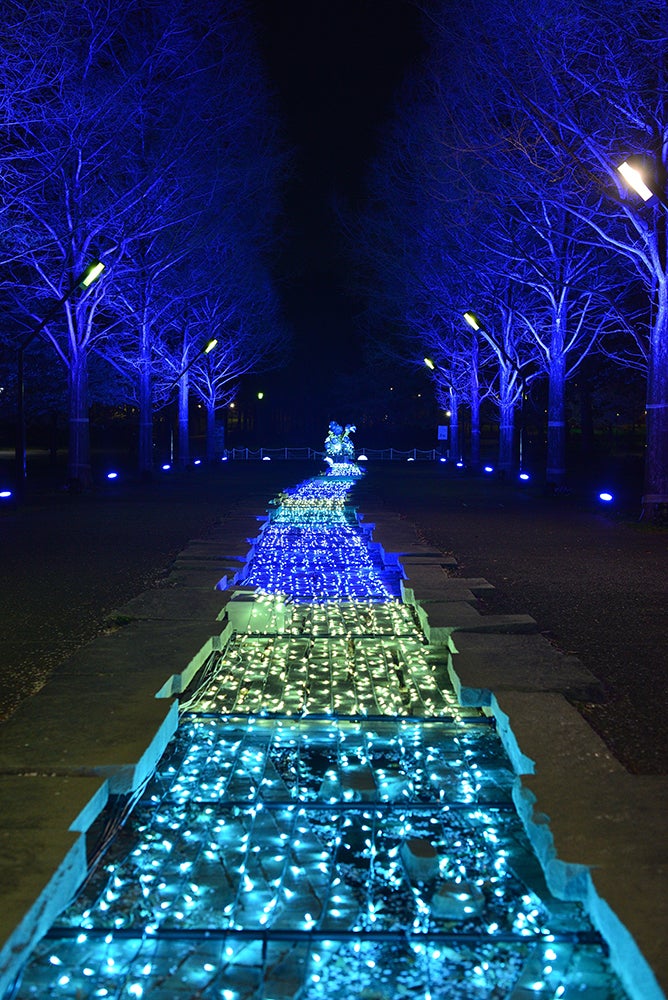 花と光のムーブメント／提供画像