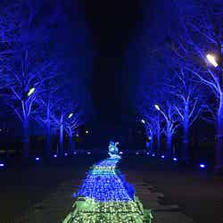 花と光のムーブメント/提供画像