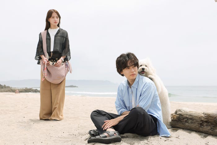 清原果耶、成田凌「初恋DOGs」第3話(C)TBS
