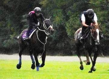 【凱旋門賞】メイショウタバル 動き軽快 武豊「戦闘モード入った」 石橋師狙い通りの上昇気配