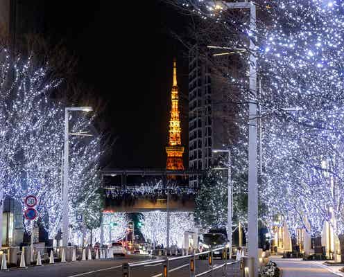 六本木ヒルズのクリスマス、“白銀の世界”約80万灯イルミ&クリスマスマーケットで冬一色