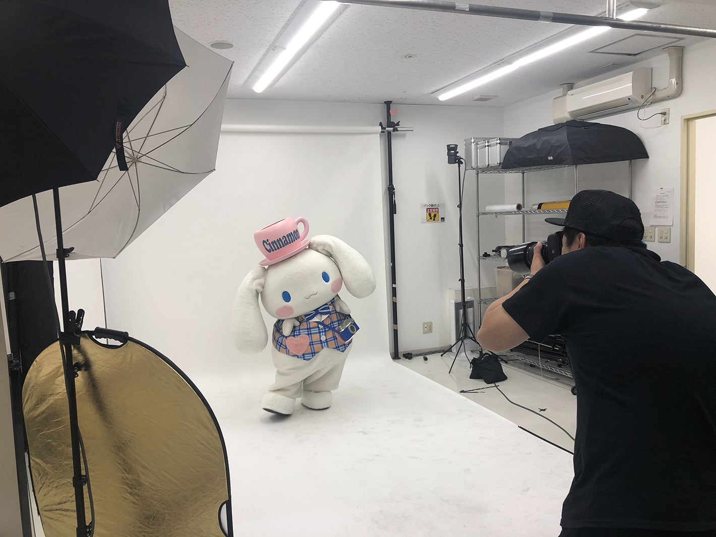 シナモン（C）’01， ’19 SANRIO 著作 （株）サンリオ