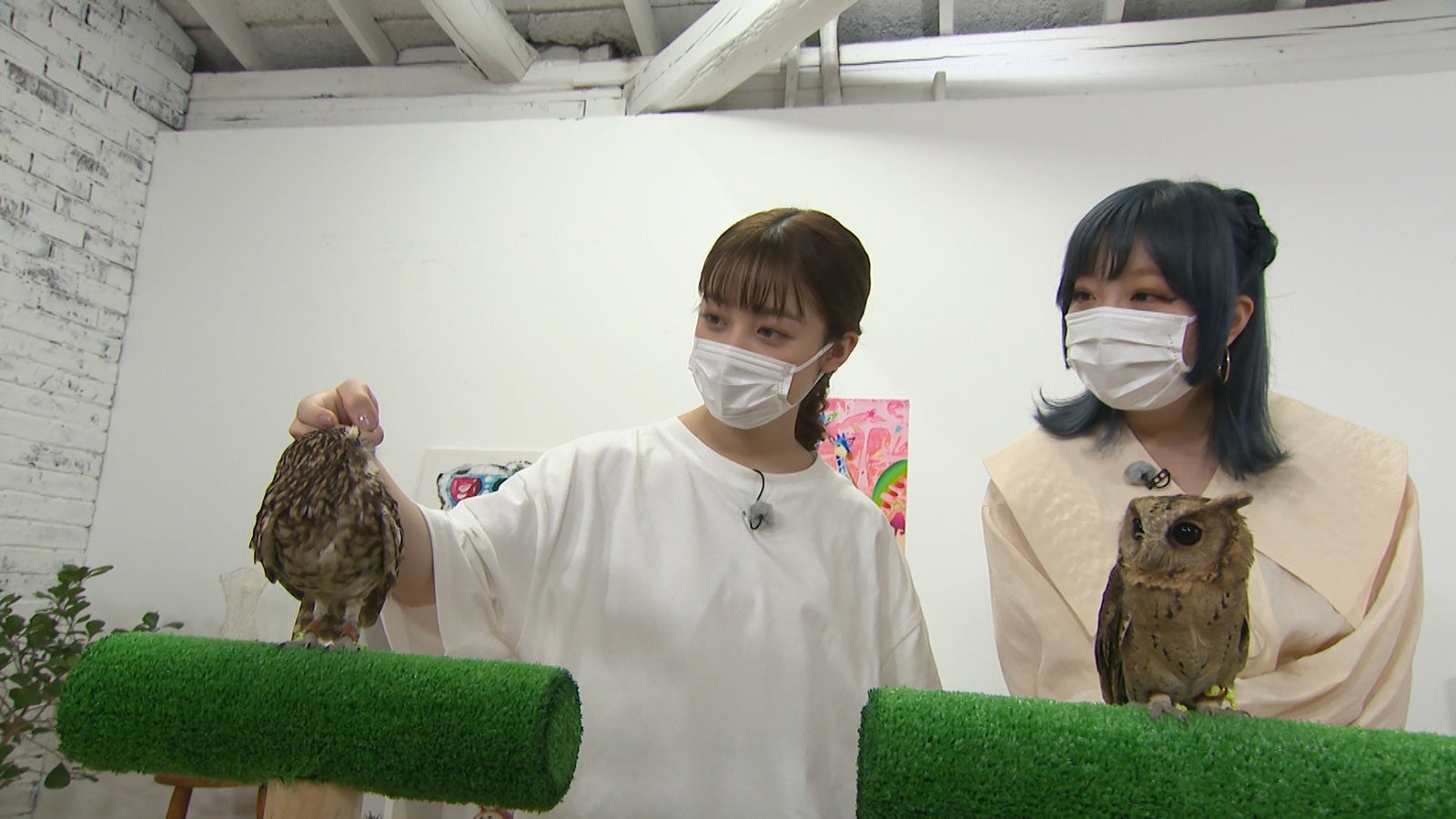 橋本環奈、きゃりーぱみゅぱみゅ（C）日本テレビ