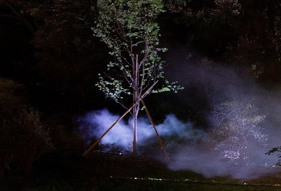 六義園／提供画像