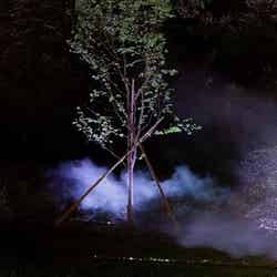 六義園/提供画像