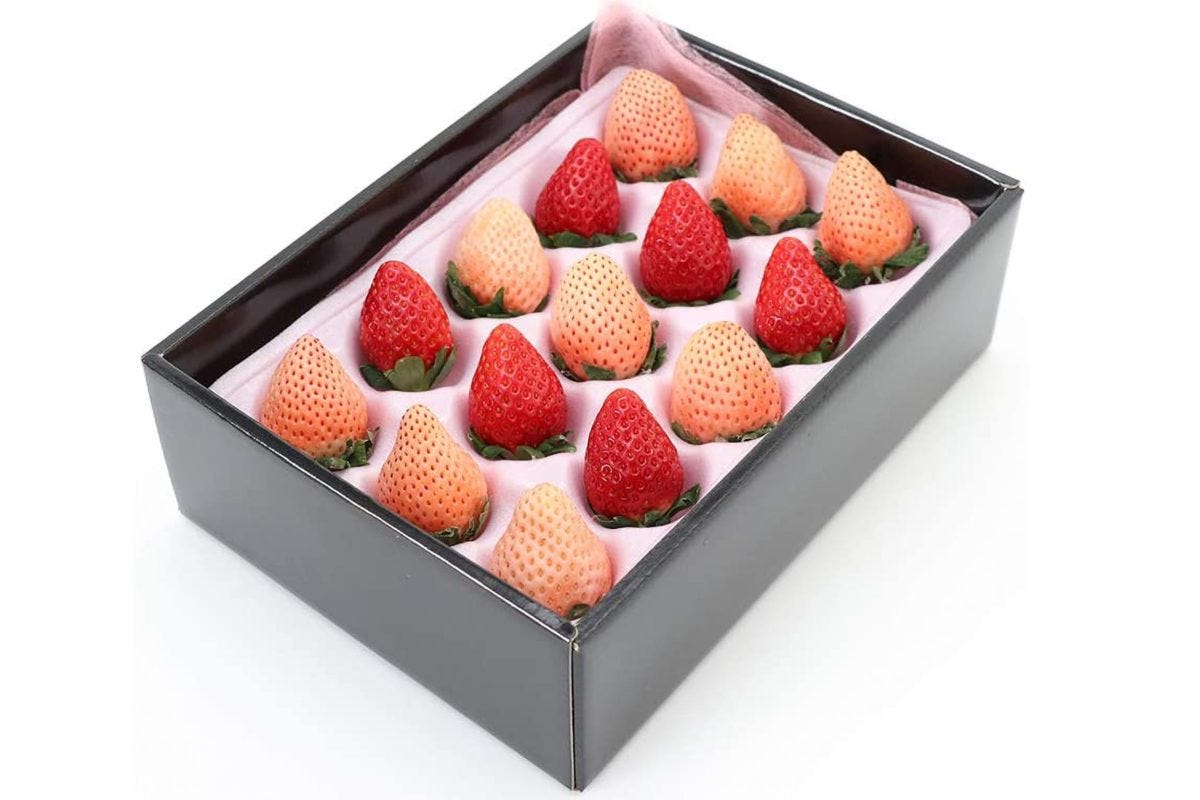 アオキフルーツオンライン