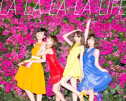 夢アド、新体制で再スタート 病気療養から復帰・小林れいのドキュメンタリー映像も