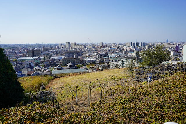 【大阪はワインの聖地!?】日本一のプロが太鼓判を押す！たこ焼きと相性抜群なワイン