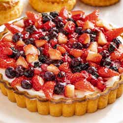 Splash Tart Gallery/画像提供:ヒルトン小田原リゾート&スパ