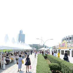 「肉食女子博」