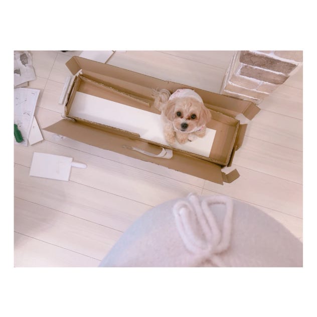 辻希美オフィシャルブログ(Ameba)より