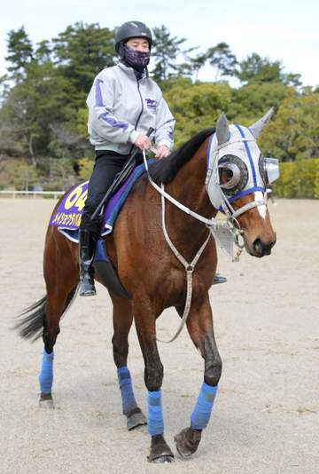 【大阪杯】メイショウタバル巻き返しへ 勝ち馬8頭が阪神芝V経験も データ唯一の減点1