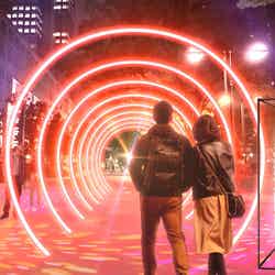 西新宿でアートイルミ「シンジュクネオンウォーク」大みそかにはカウントダウンイベントも開催