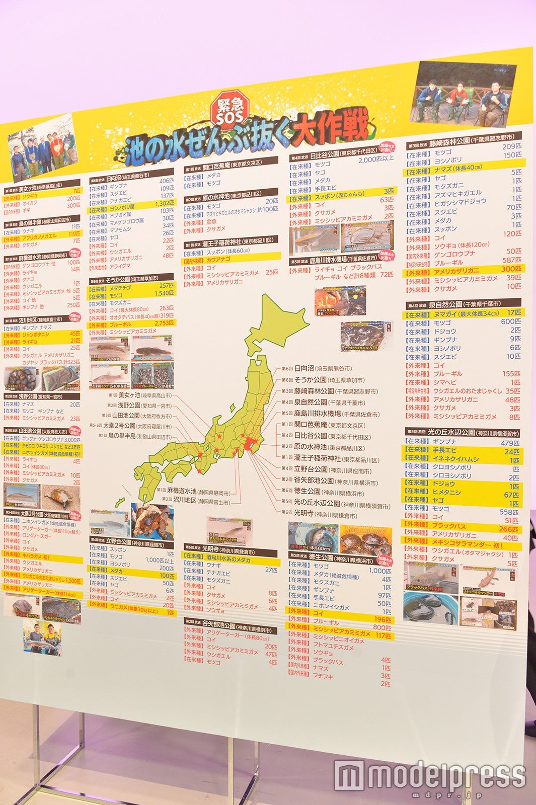 テレビ東京、日曜ゴールデンタイムを強化　話題のバラエティ番組レギュラー化で日テレに対抗