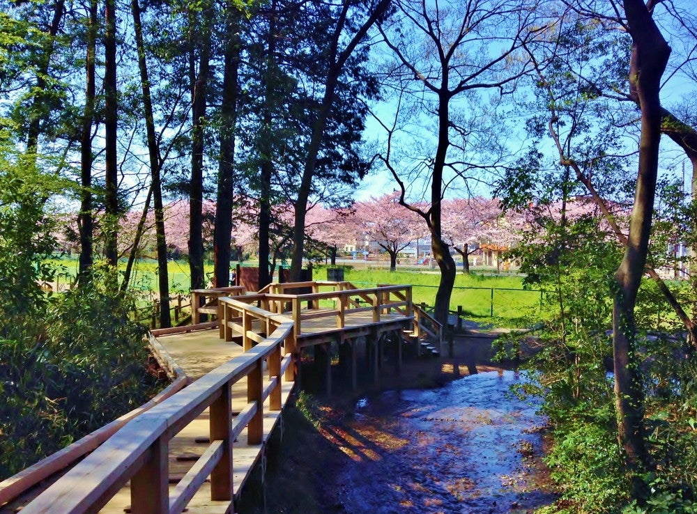 平成の名水百選にも選ばれた美しい清流（提供画像）