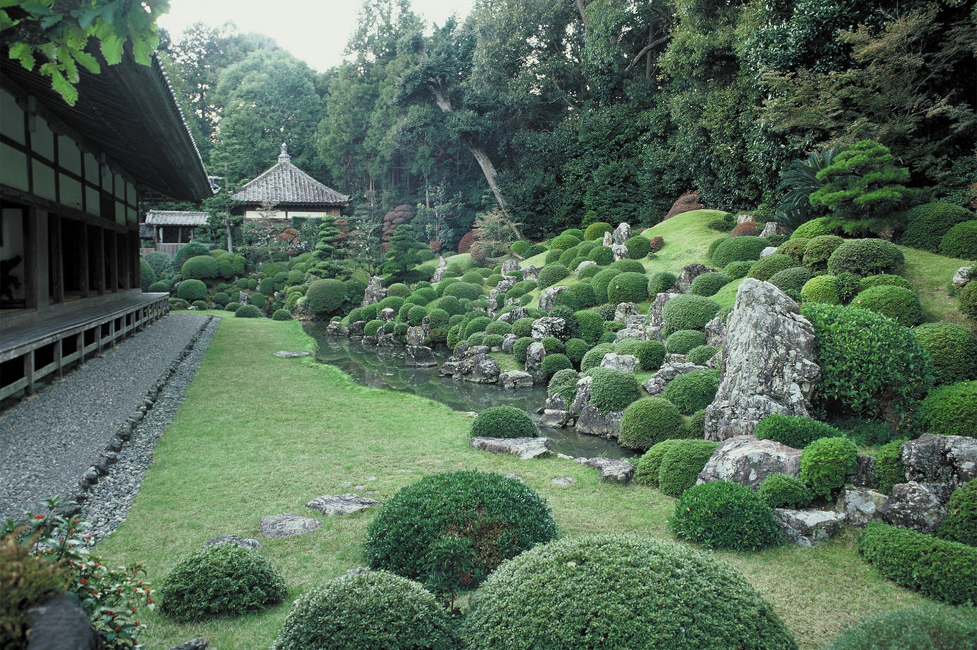 龍潭寺庭園／写真提供：静岡県観光協会