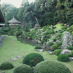 龍潭寺庭園／写真提供：静岡県観光協会