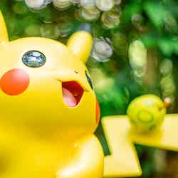 ポケパーク カントー/提供写真