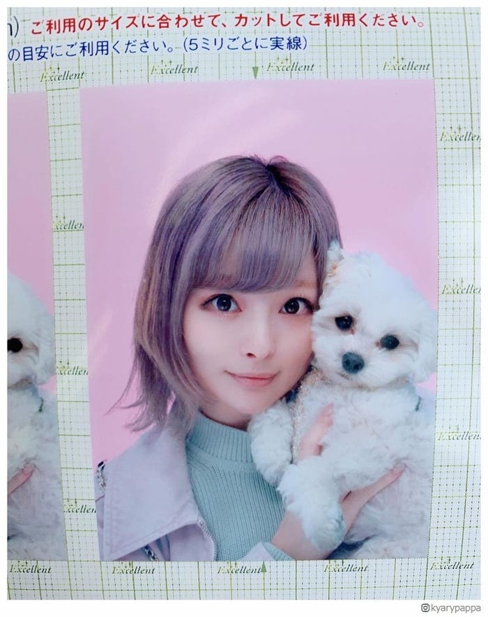 きゃりー 証明写真の使い方 に反響 斬新 センスさすが モデルプレス きゃりー 証明写真の使い方 に反響 斬新 センスさすが モデルプレス