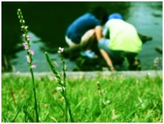 舞川あいく作品