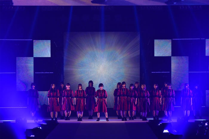 欅坂46(提供写真)