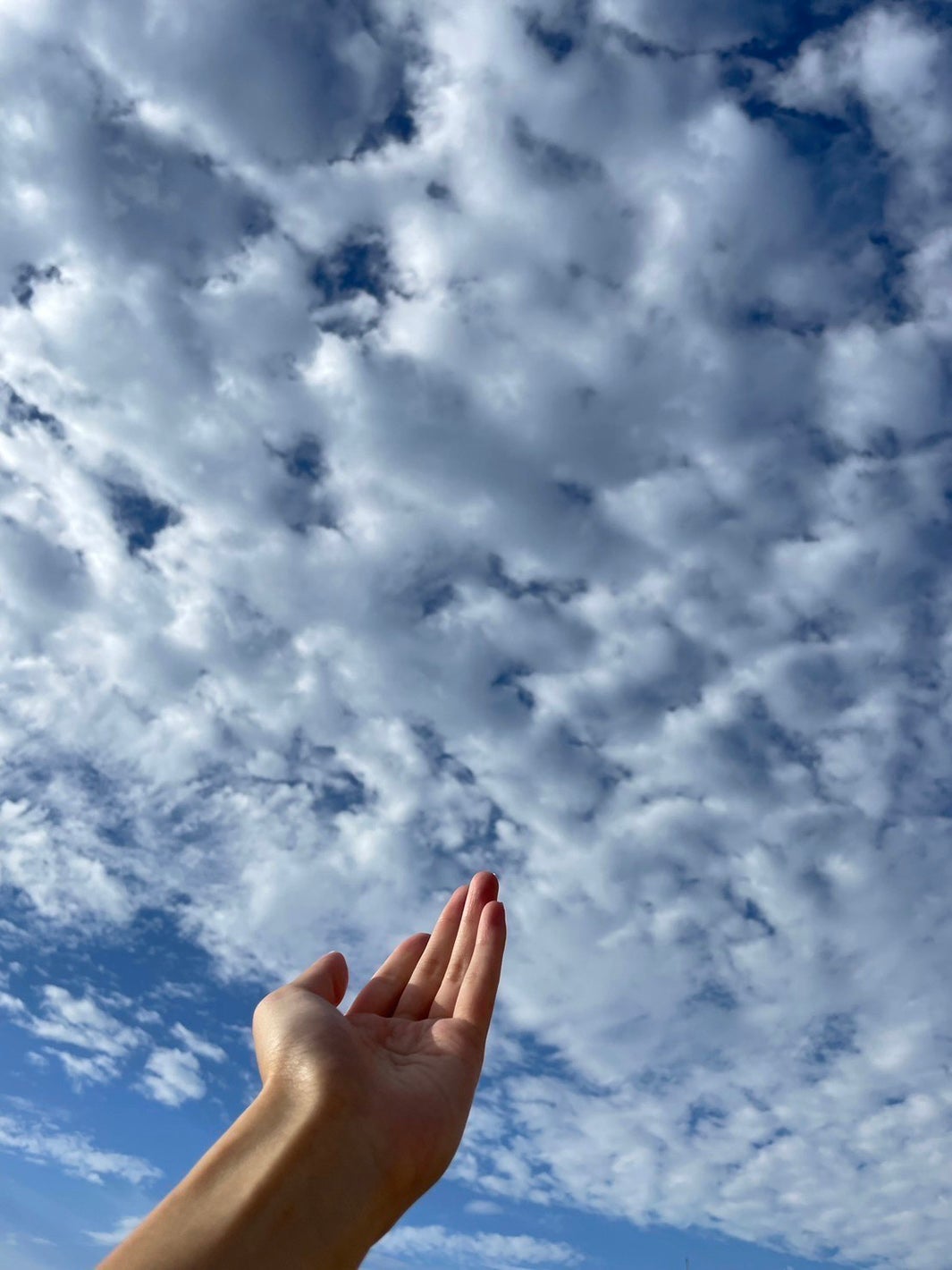 福田萌子SNSより（提供写真）