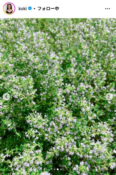 Koki,Instagramより