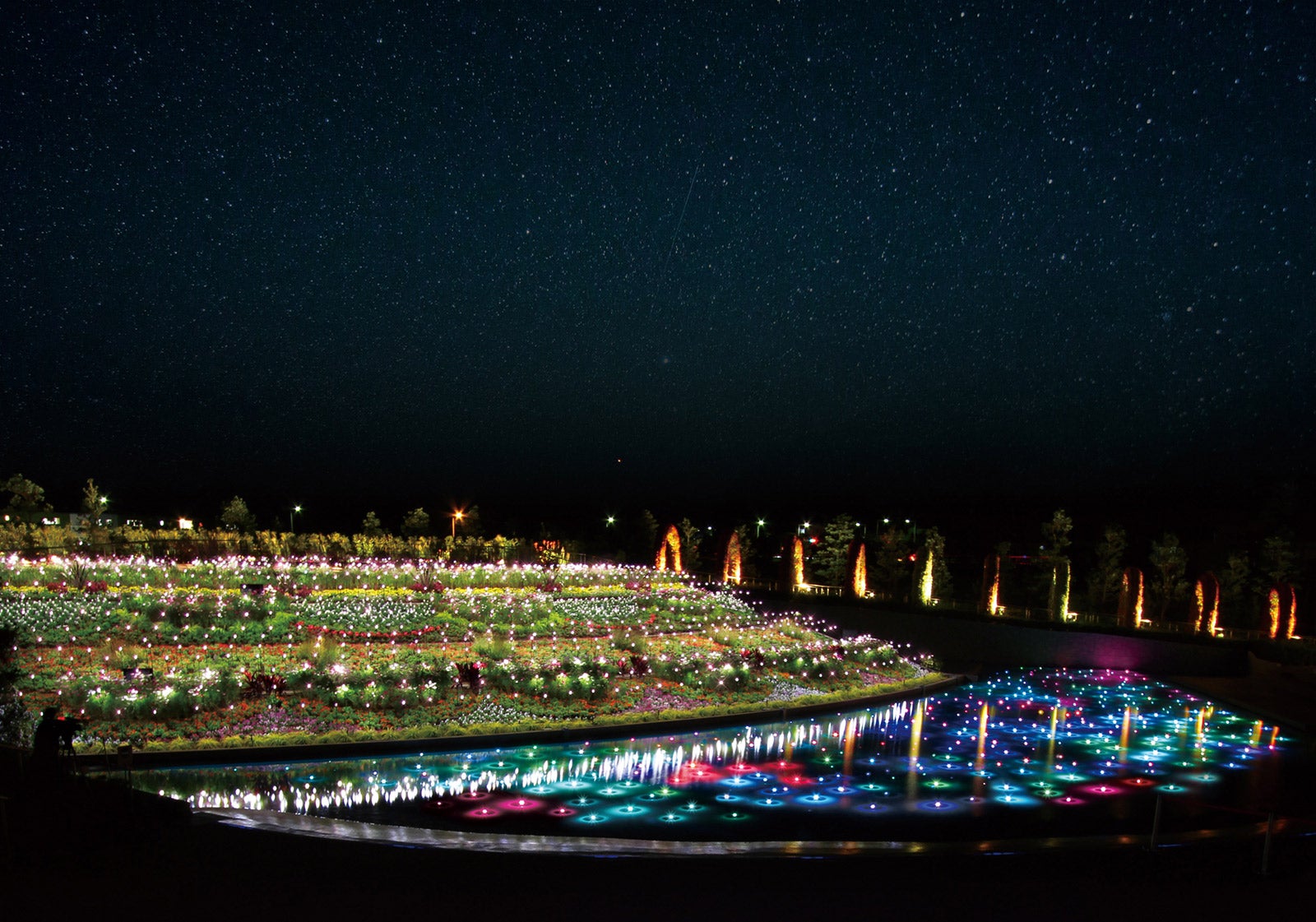 フラワーイルミネーション「ジュエルガーデン」／画像提供：株式会社ラグーナテンボス