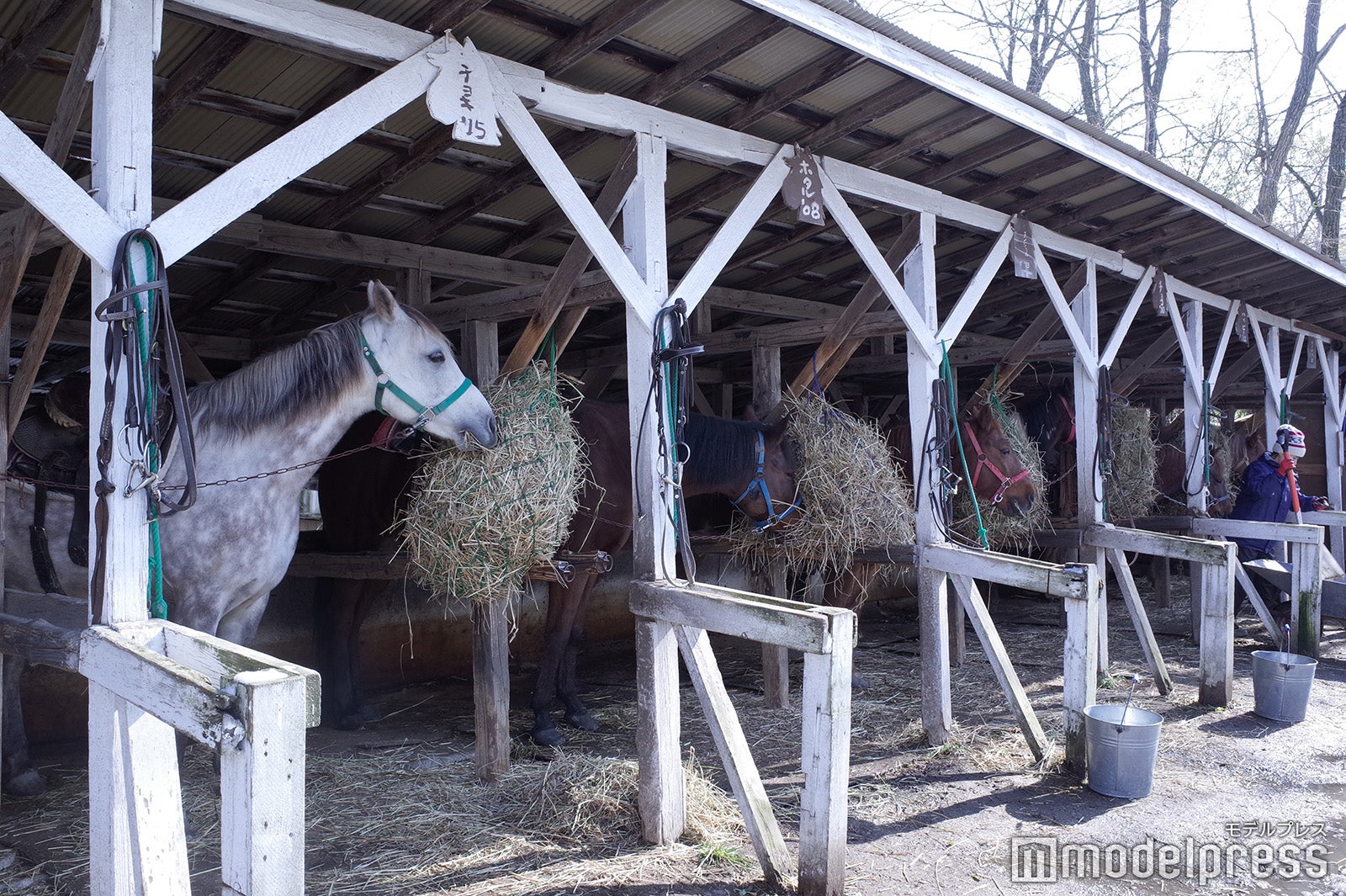 フラノトレッキングサポート遊馬（C）モデルプレス