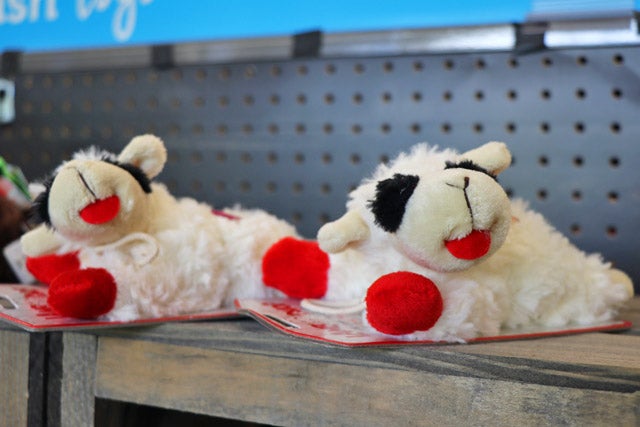petco_11.jpg
