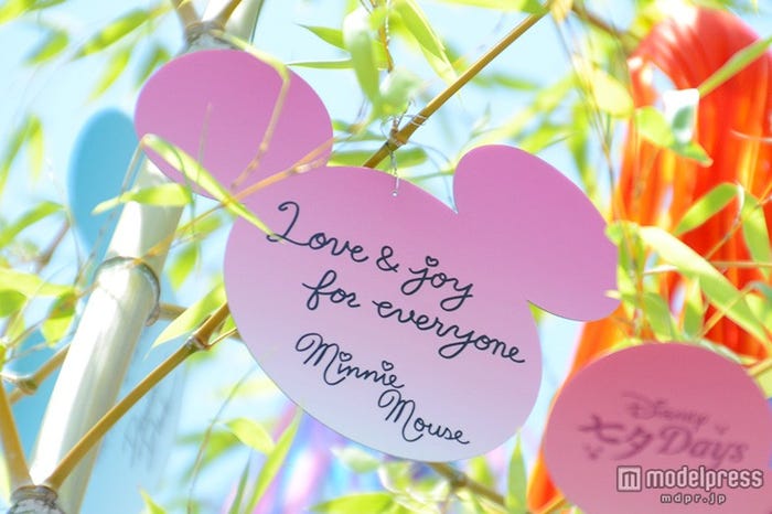 ミニーのウィッシングカード