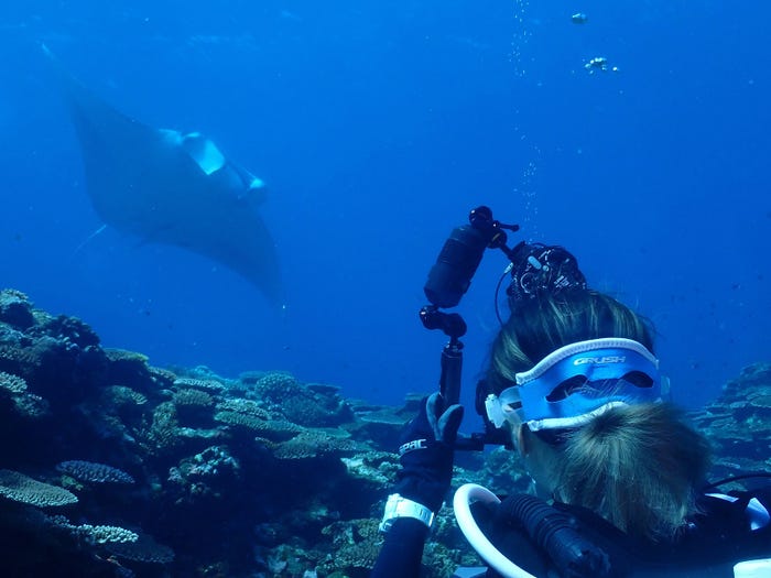 渡辺知夏子(提供写真)