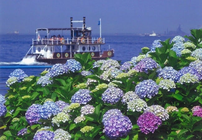横浜・八景島シーパラダイス／画像提供：横浜八景島