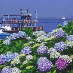 横浜・八景島シーパラダイス/画像提供:横浜八景島