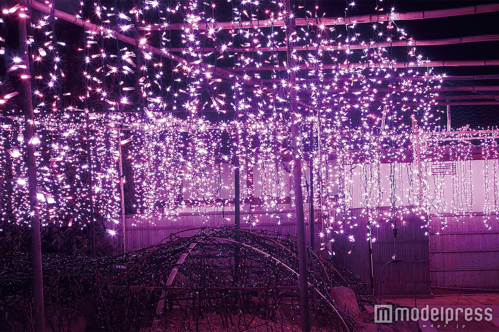 アメジストジュエリ／画像提供：日本庭園 由志園