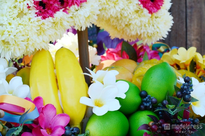 ロストリバーデルタのデコレーション