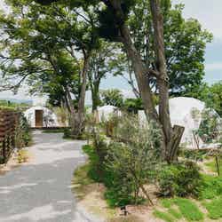 グレンタ グランピング ヴィレッジ/提供画像